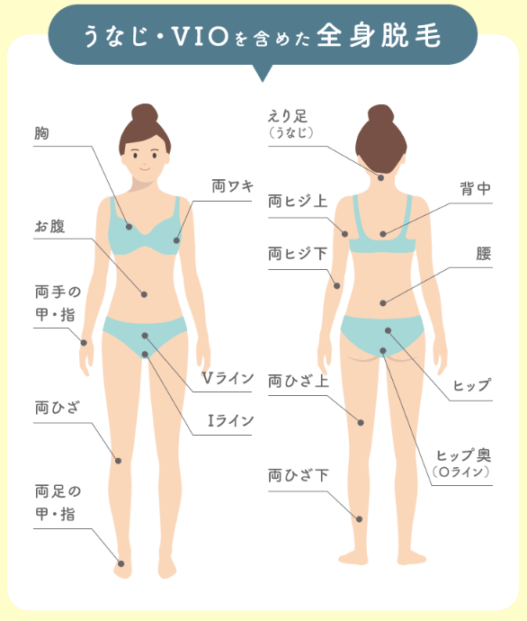 じぶんクリニック　全身脱毛範囲